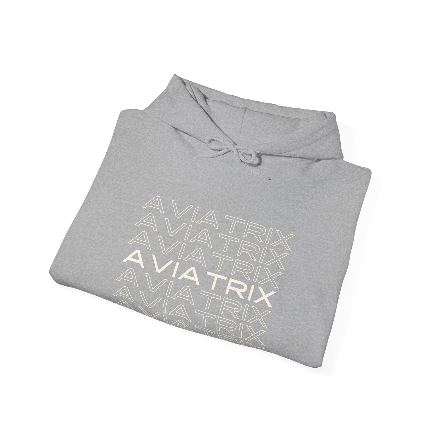 Aviatrix Unisex Heavy Blend Hooded Sweatshirt