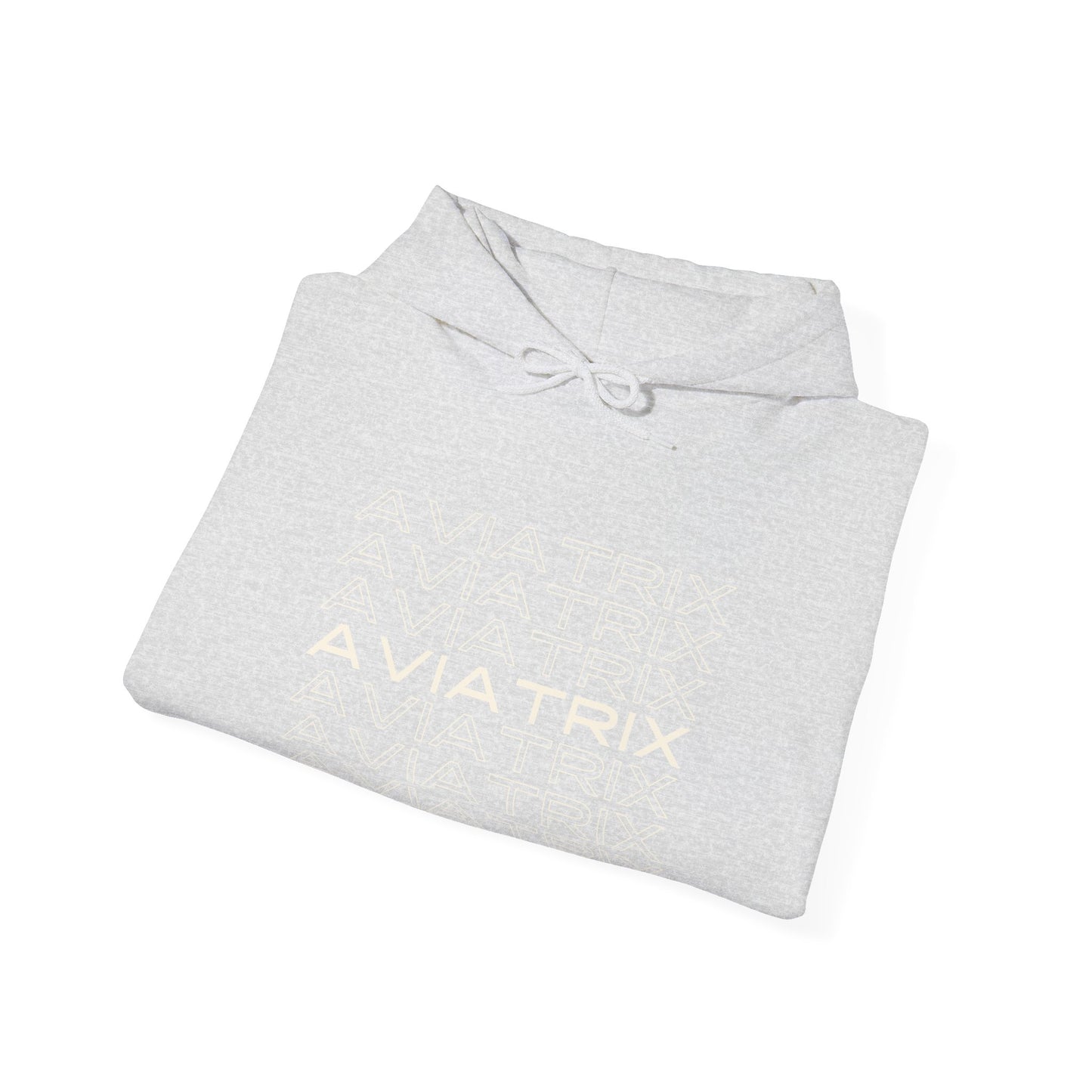 Aviatrix Unisex Heavy Blend Hooded Sweatshirt